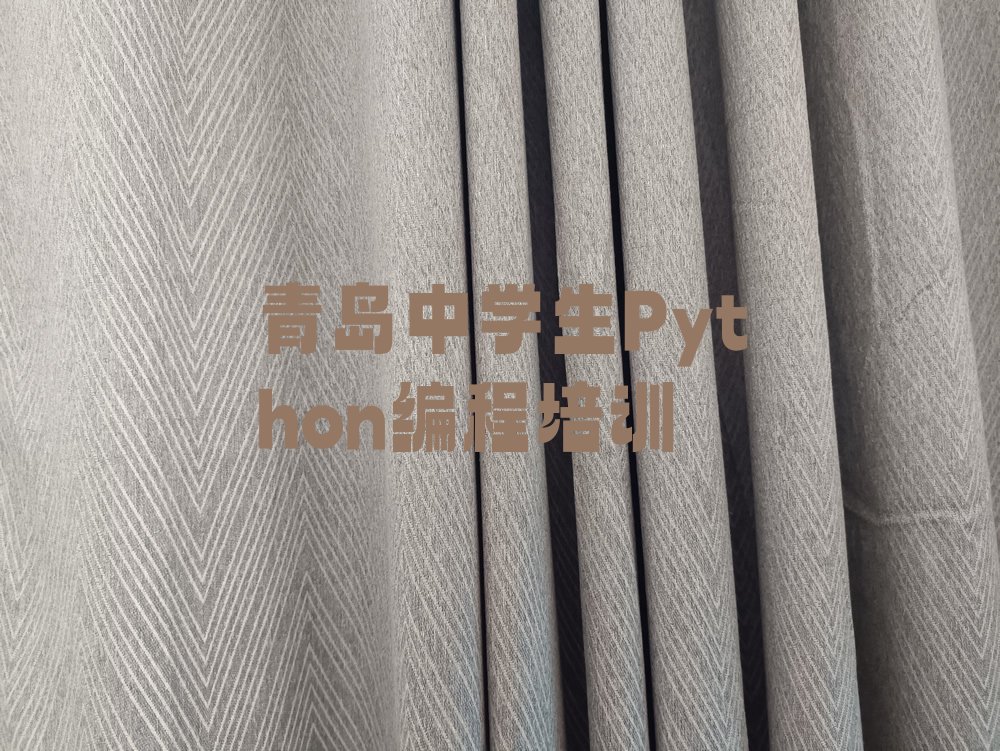 十大青岛黄岛区中学生Python编程培训好的学校推荐排行榜