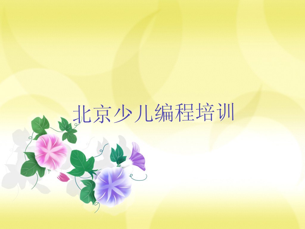 北京少儿编程培训