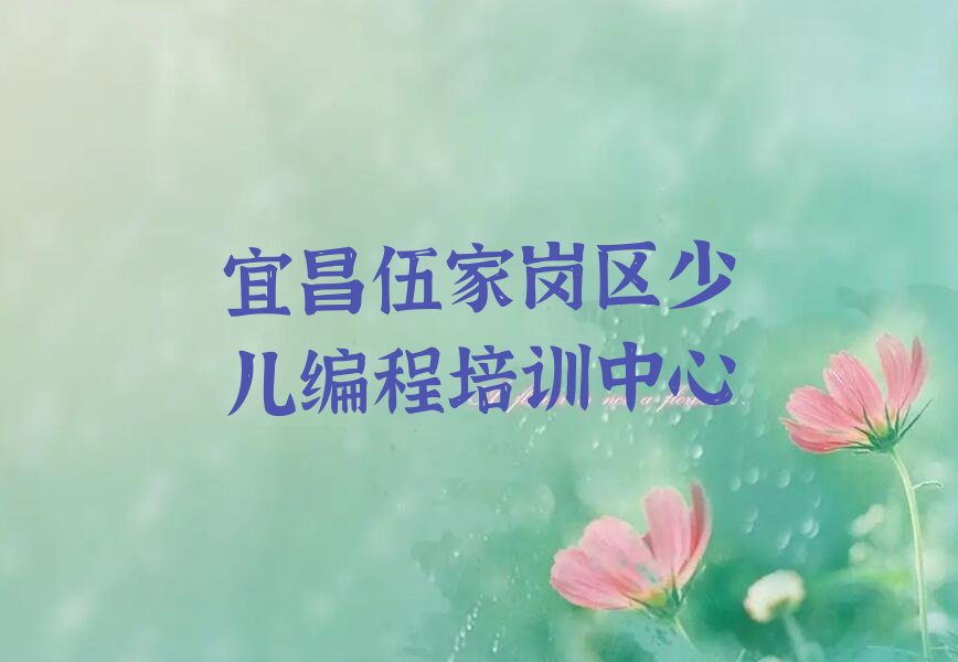 十大宜昌伍家岗区小儿编程培训多少钱一节课啊排行榜