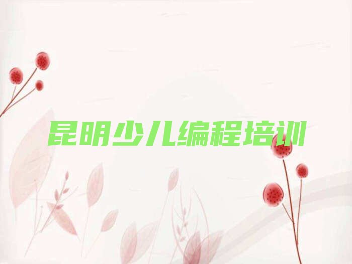 昆明官渡区小儿编程培训学校