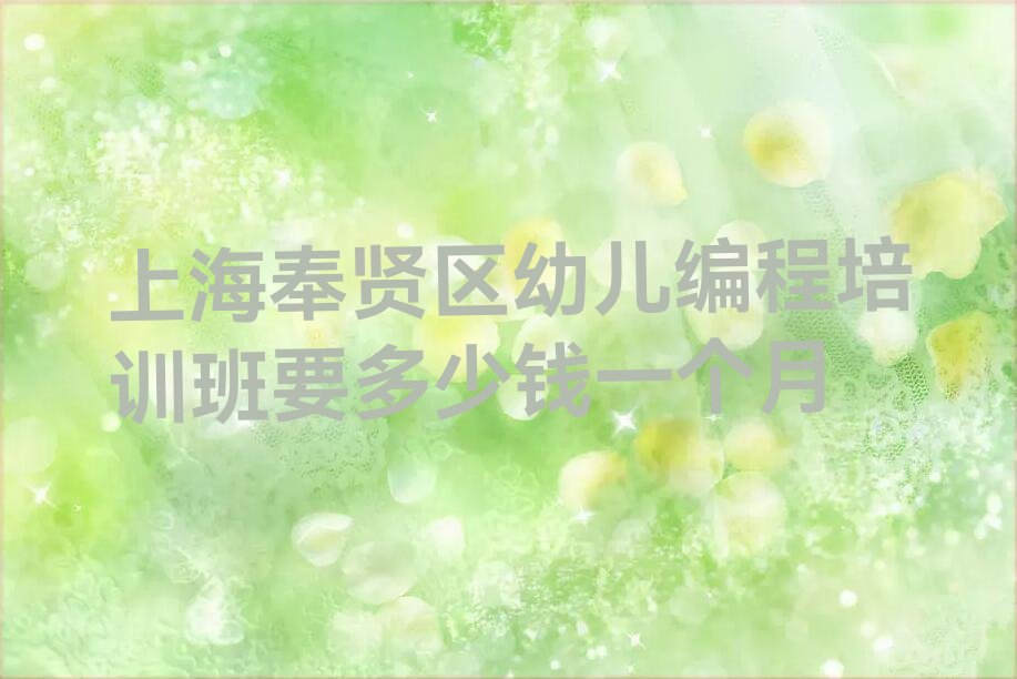 上海奉贤区少儿编程培训中心