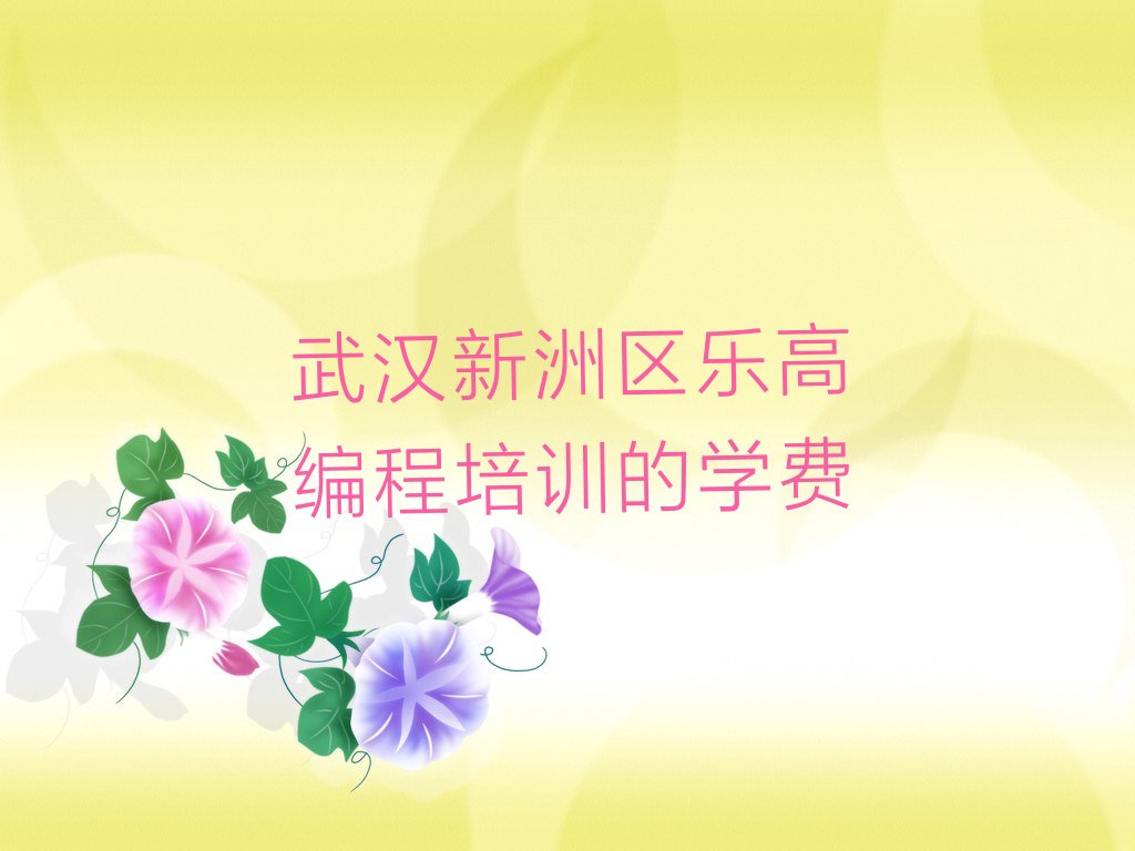 武汉新洲区仓埠街道乐高编程培训学校