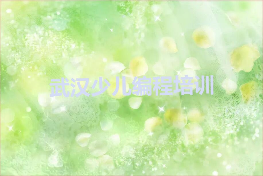 武汉黄陂区少儿编程培训学校