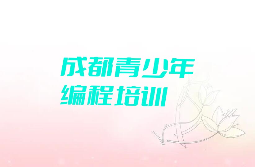成都双流区少儿编程培训