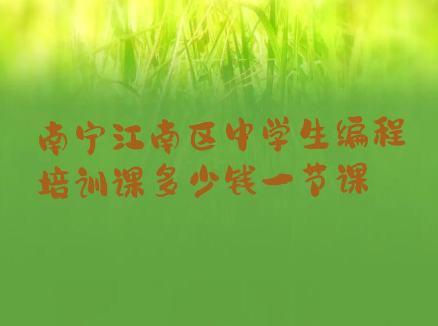 南宁江南区那洪街道少儿编程培训学校