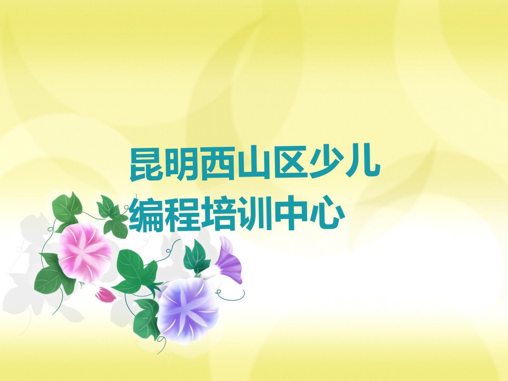 昆明西山区少儿编程培训中心