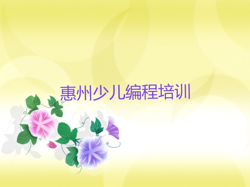 惠州惠阳区少儿编程培训班