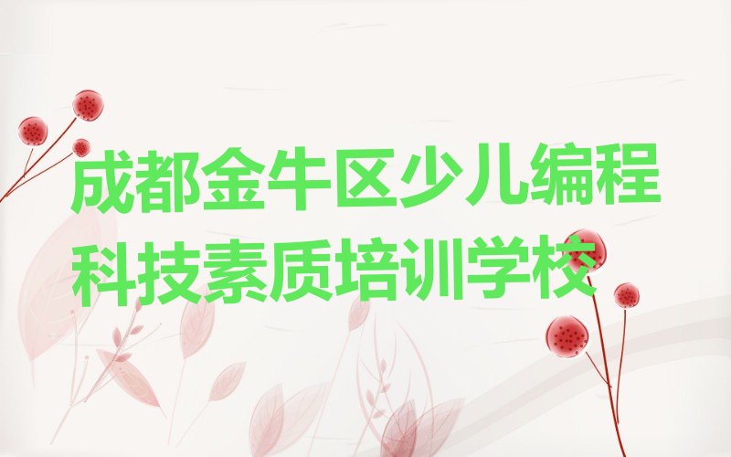 成都金牛区少儿编程科技素质培训学校