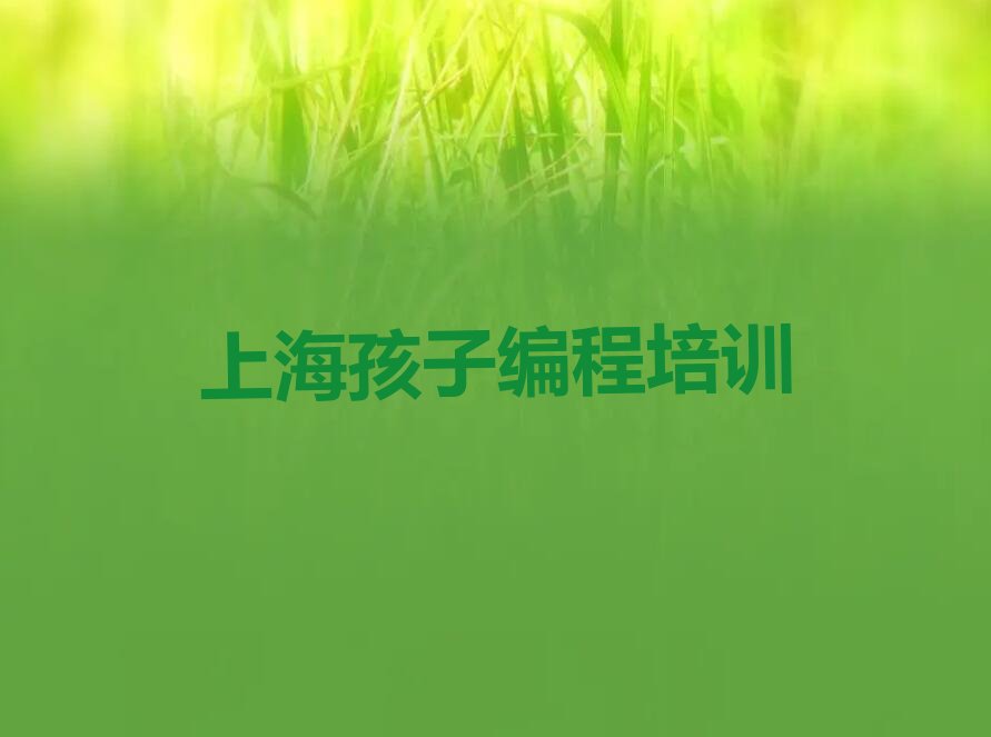 上海少儿编程培训学校