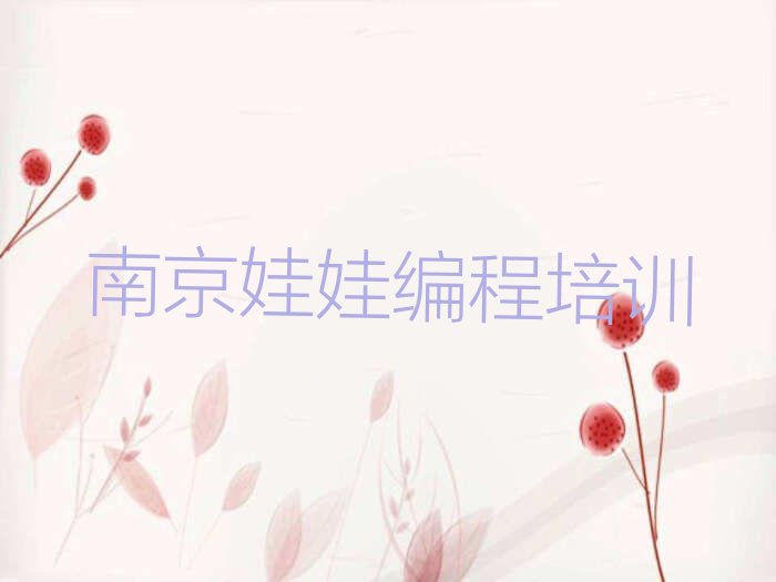 十大南京秦淮区在哪学娃娃编程好排行榜