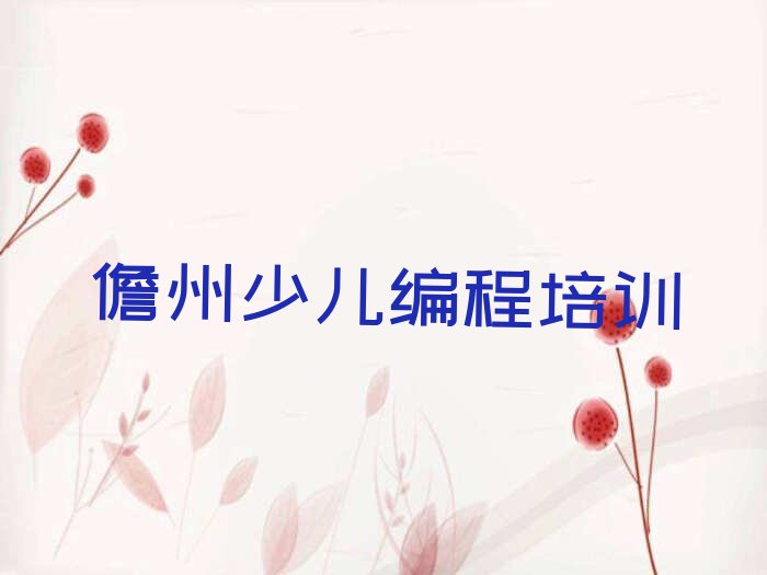 儋州少儿编程培训学校