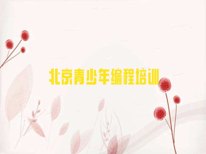 北京海淀区万寿路青少年编程培训学校