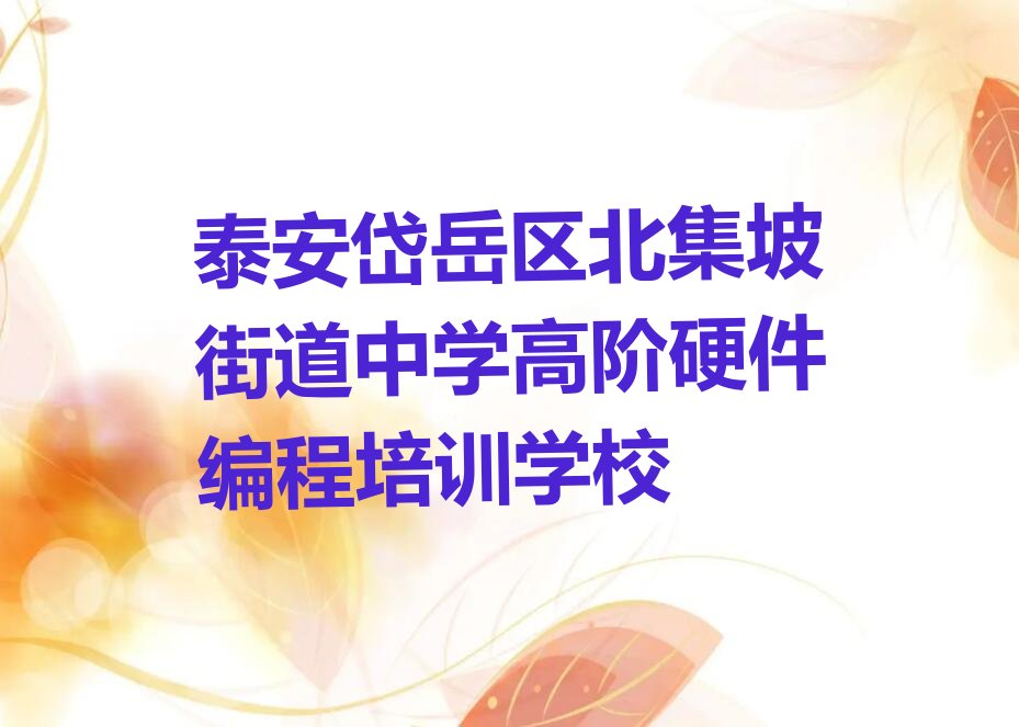 十大泰安岱岳区中学高阶硬件编程一个月速成班能学到啥排行榜