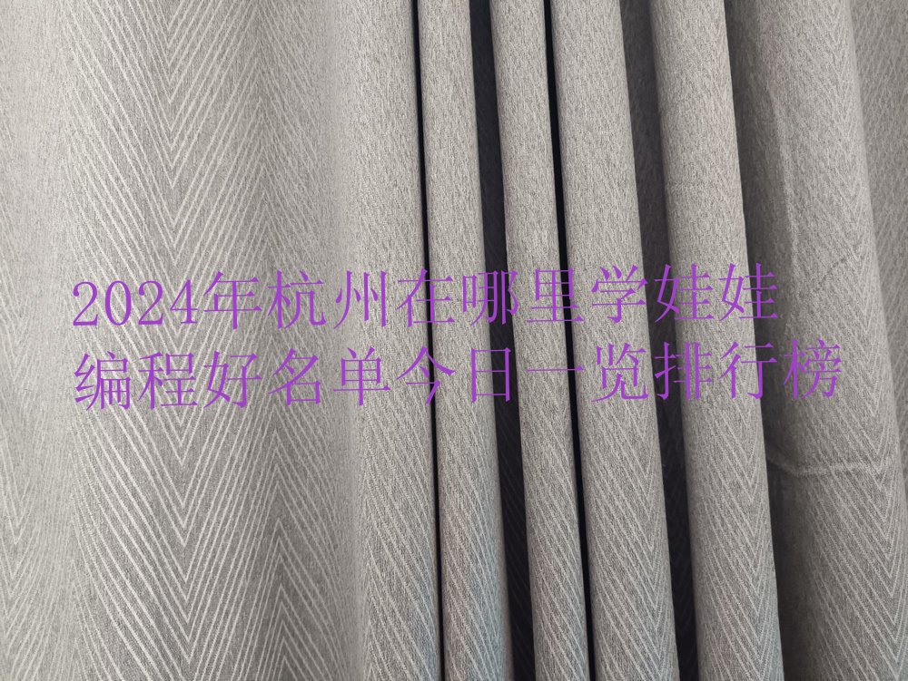 杭州西湖区少儿编程培训班