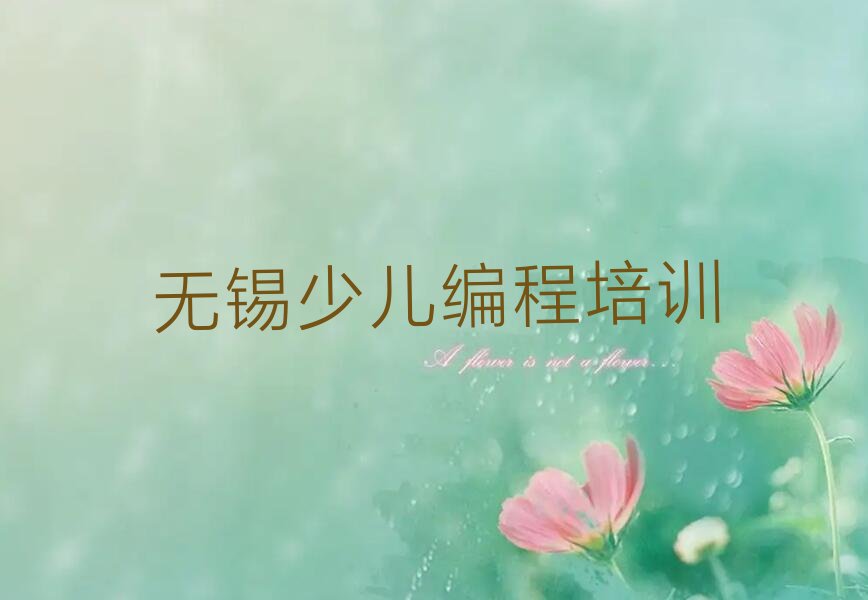 无锡锡山区鹅湖镇少儿编程培训学校