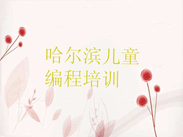 哈尔滨呼兰区少儿编程培训班