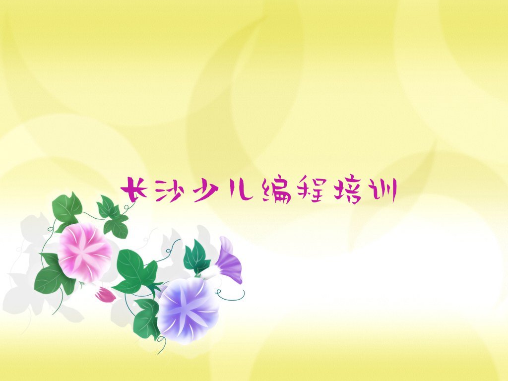长沙少儿编程培训中心