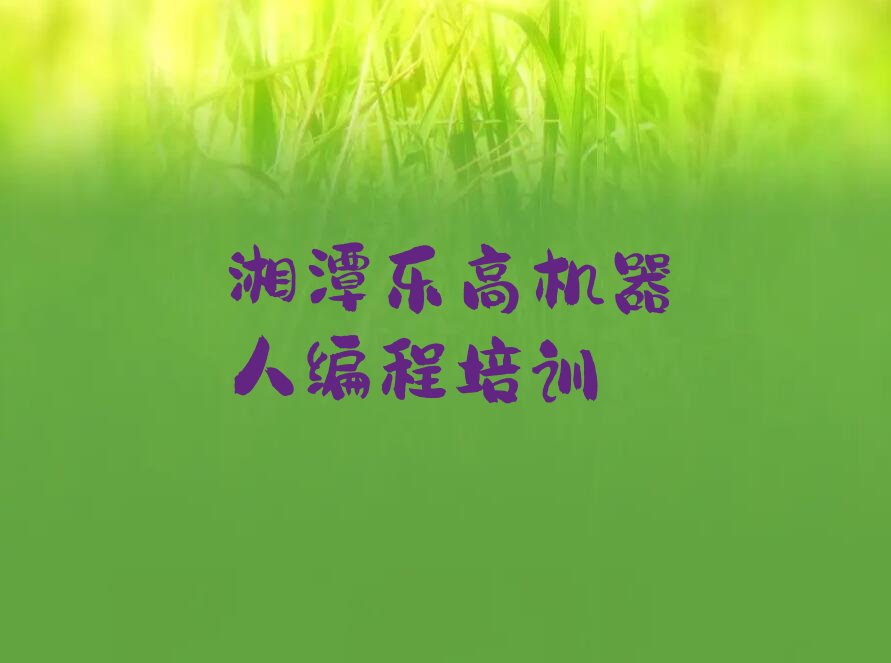 十大湘潭雨湖区学乐高机器人编程哪个学校排行榜