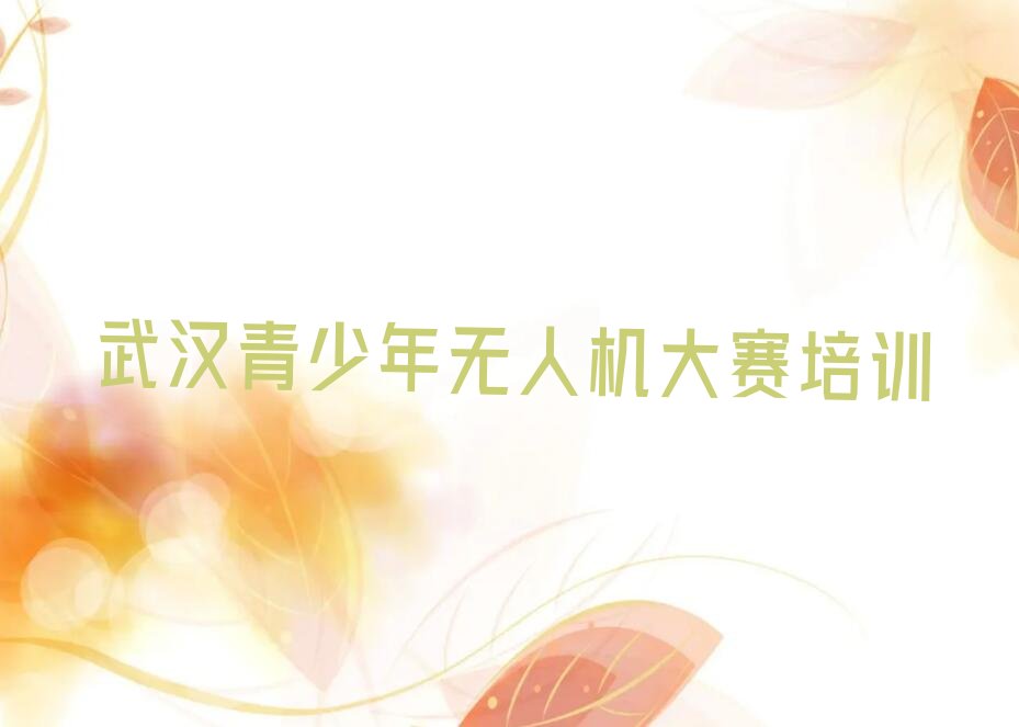 十大武汉附近青少年无人机大赛培训排行榜