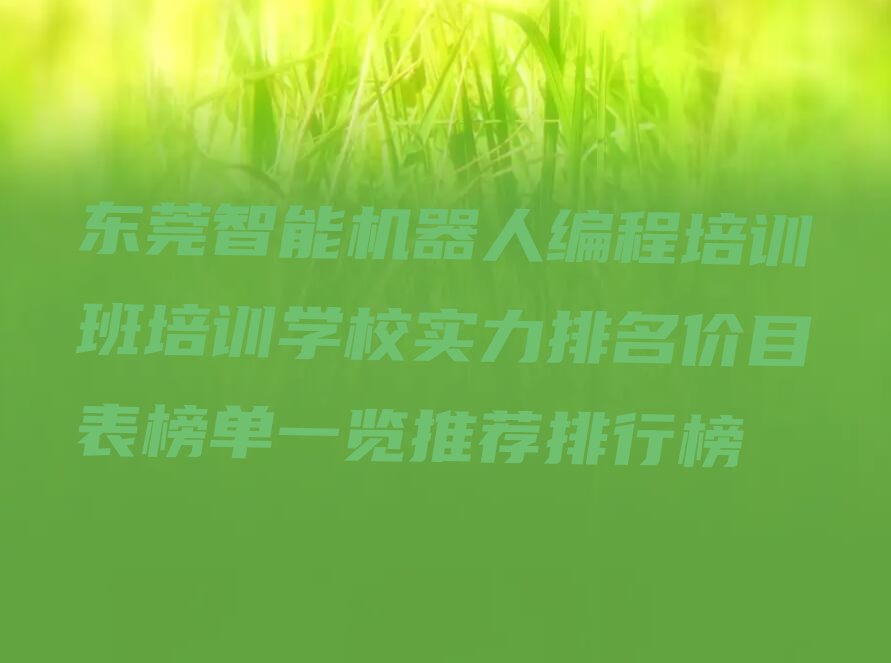 东莞少儿编程培训中心