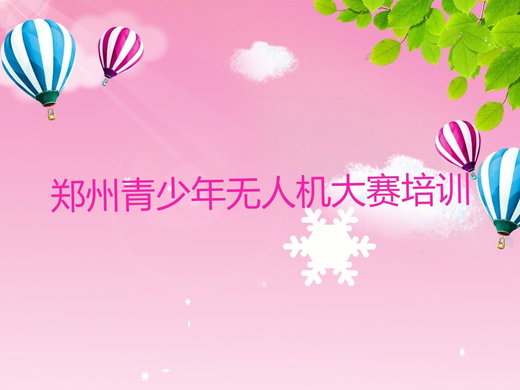 十大2024年郑州花园口镇童程童美学青少年无人机大赛名单精选一览排行榜排行榜