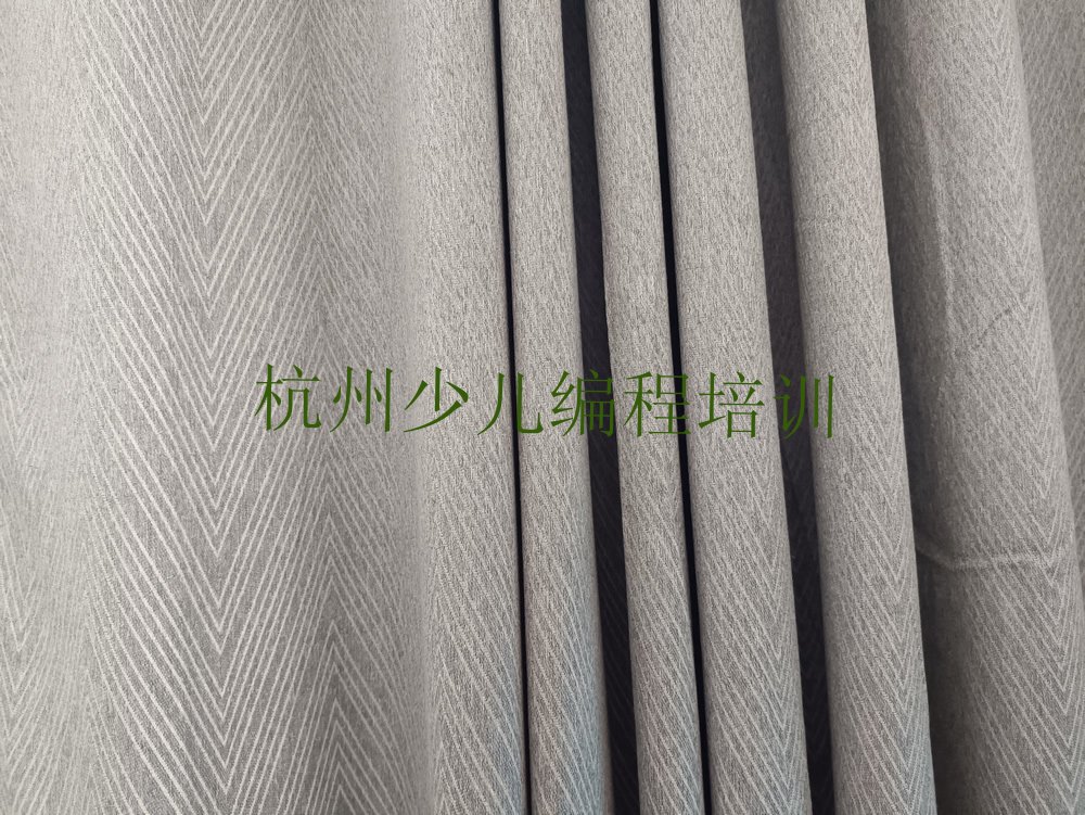 十大杭州临安区小儿编程培训学校名单精选一览排行榜排行榜