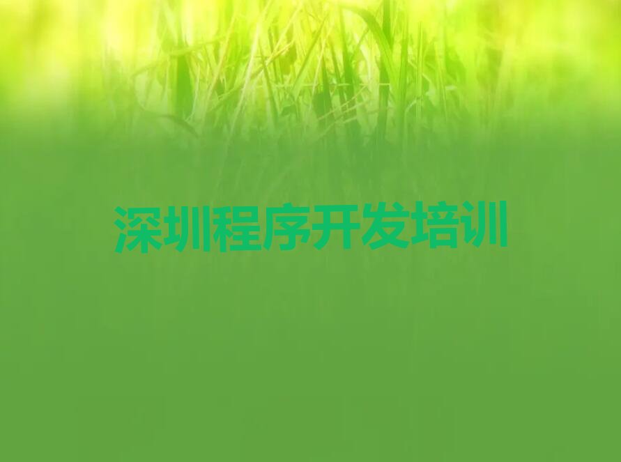 深圳坪山区坪山街道少儿编程培训学校