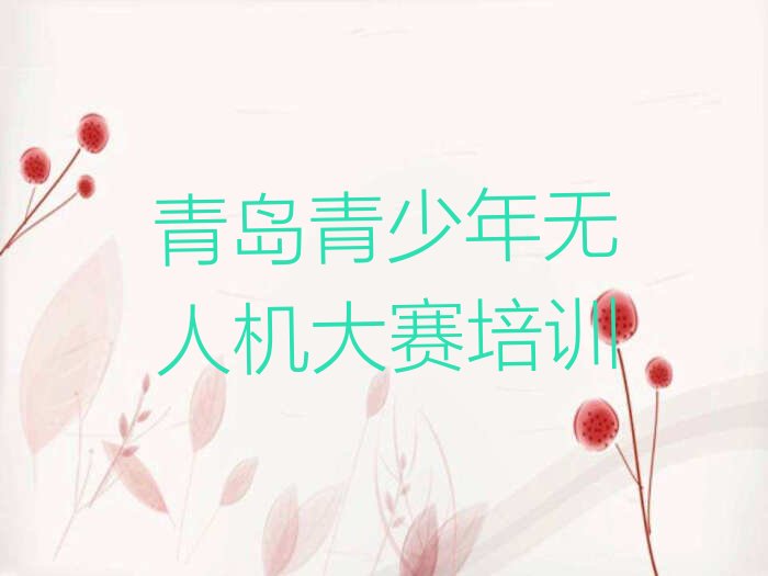 青岛少儿编程培训