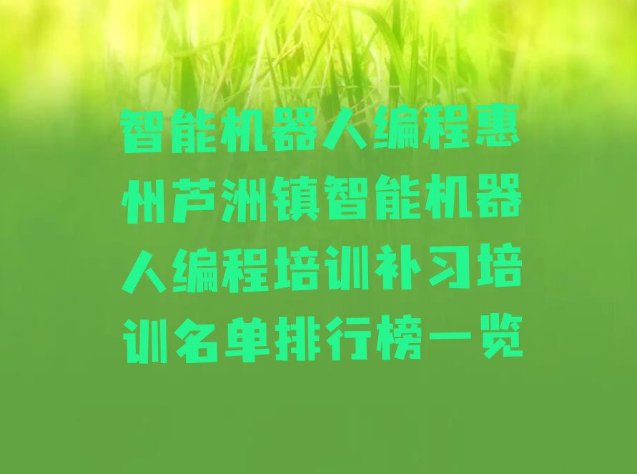 惠州少儿编程培训中心