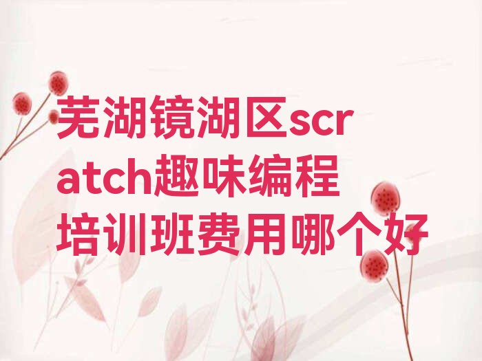 芜湖少儿编程培训