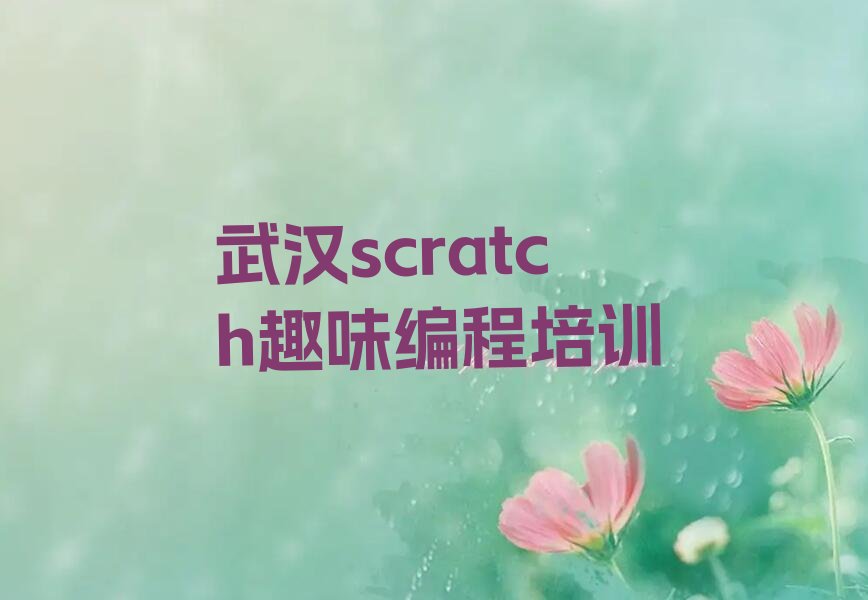 武汉江汉区江汉经济开发区scratch趣味编程培训学校