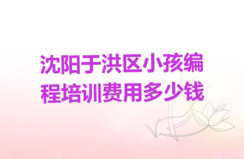 沈阳于洪区小孩编程培训学校