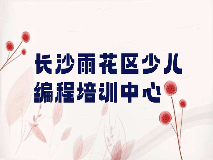 长沙雨花区少儿编程培训中心