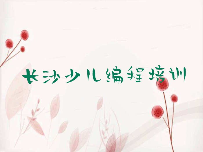 长沙少儿编程培训