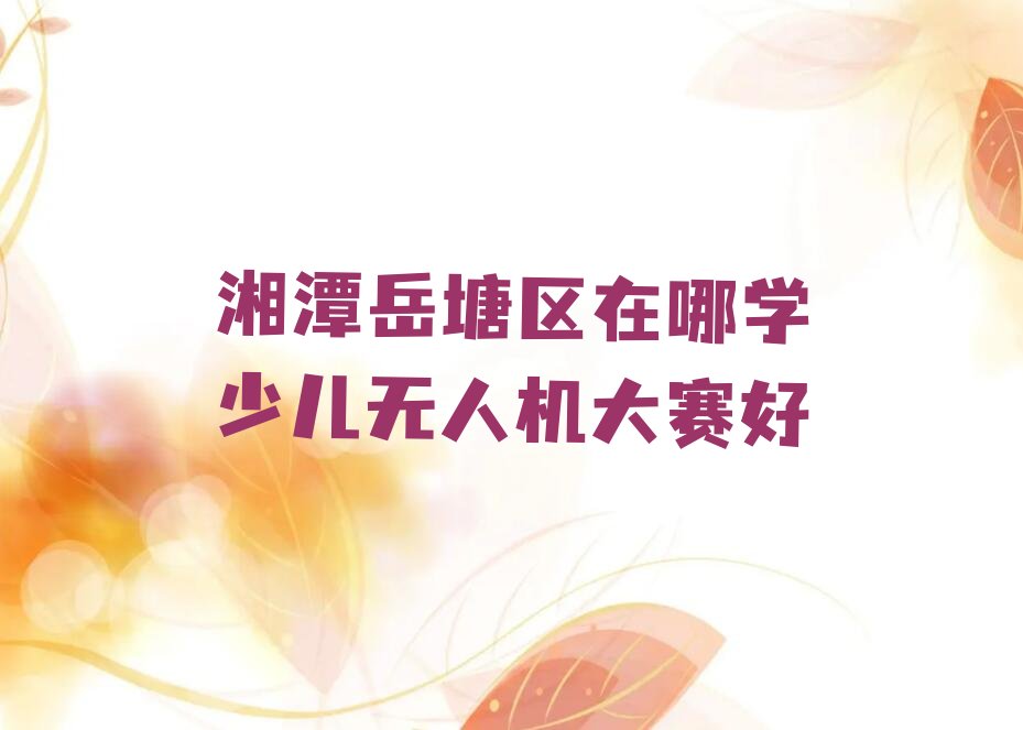 十大湘潭岳塘区在哪学少儿无人机大赛好排行榜