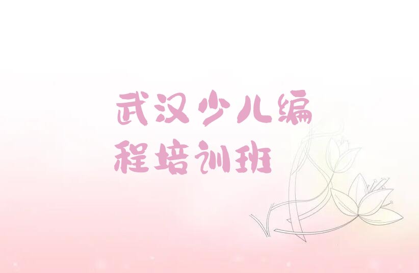 武汉少儿编程培训班