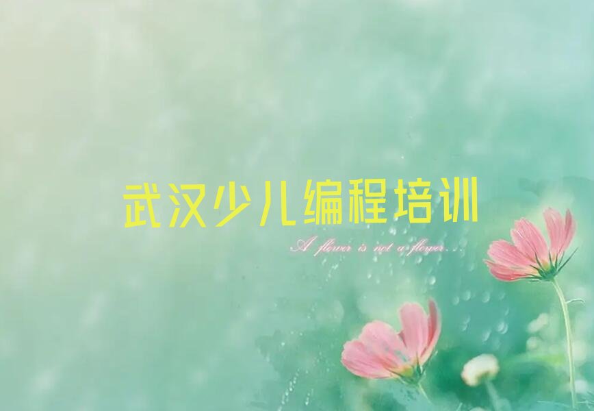 十大武汉塔子湖街道人工智能编程培训的价格排行榜