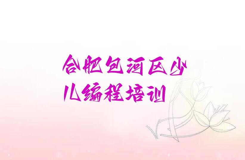 十大合肥包河区少儿NOIP编程竞赛培训学校有哪些好的专业排行榜