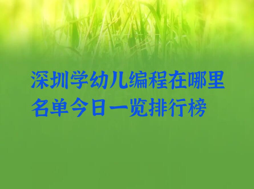 深圳坪山区少儿编程培训