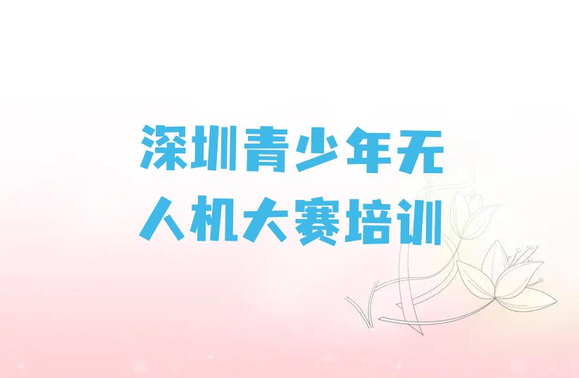 十大2024深圳沙头角街道市哪里有学青少年无人机大赛的培训班十大名单榜一览排行榜排行榜