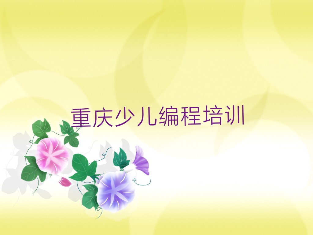 重庆九龙坡区少儿编程培训班