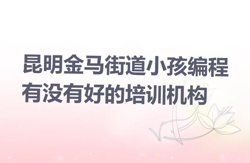 昆明少儿编程培训中心