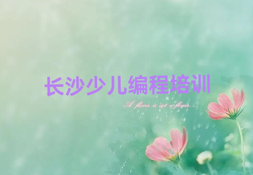 长沙岳麓区少儿编程培训班
