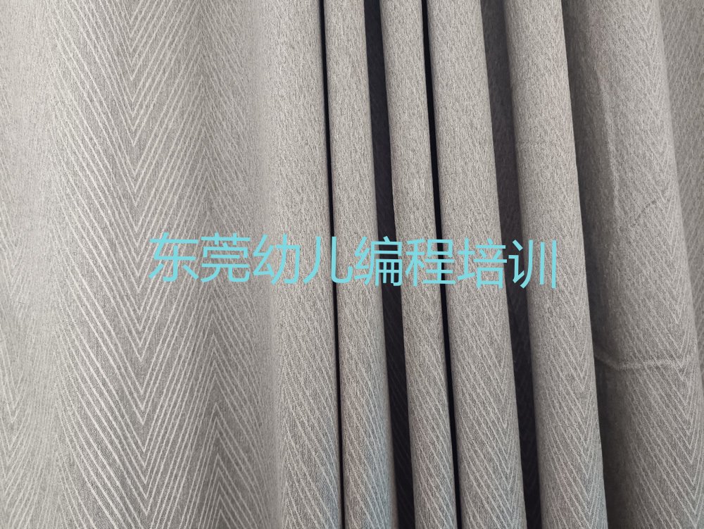 十大2024东莞幼儿编程培训班十大名单榜一览排行榜排行榜