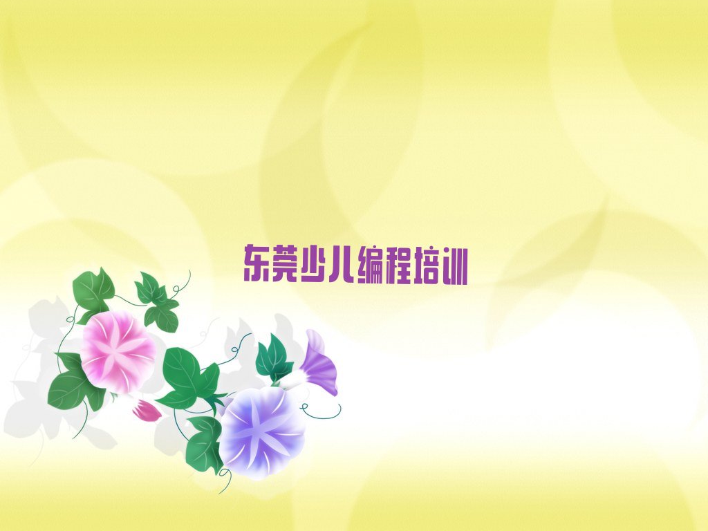 东莞少儿编程培训