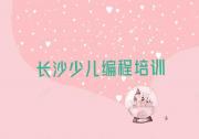 长沙雨花区机器人编程哪里找机器人编程培训班比较好