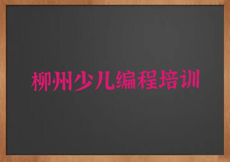 柳州柳北区少儿编程培训