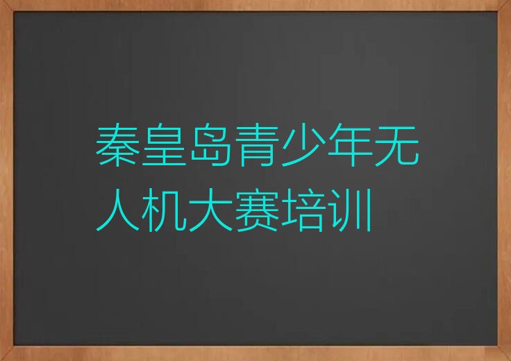 十大2024年秦皇岛抚宁镇青少年无人机大赛哪里可以学实力名单一览排行榜排行榜