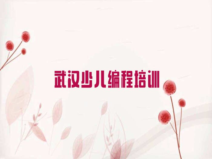 十大武汉黄陂区信息学奥赛编程培训学校学费排行榜