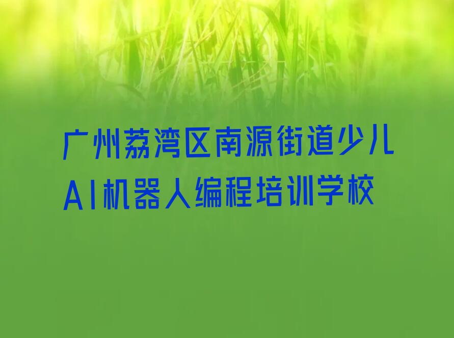 广州荔湾区南源街道少儿AI机器人编程培训学校